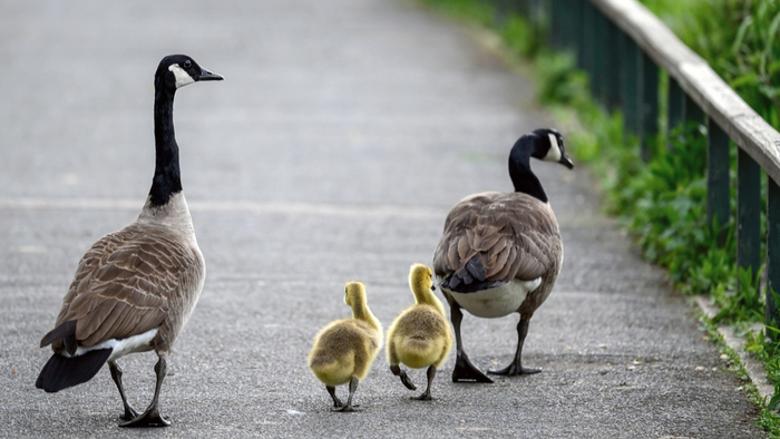 Toughest Moments lend a hand to Self Understanding 