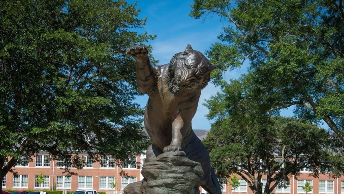 A Special Opportunity for GramFam