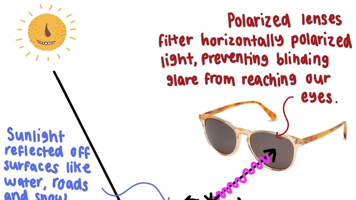 WHAT IS THE DIFFERENCE BETWEEN POLARIZED AND NON-POLARIZED LENSES?