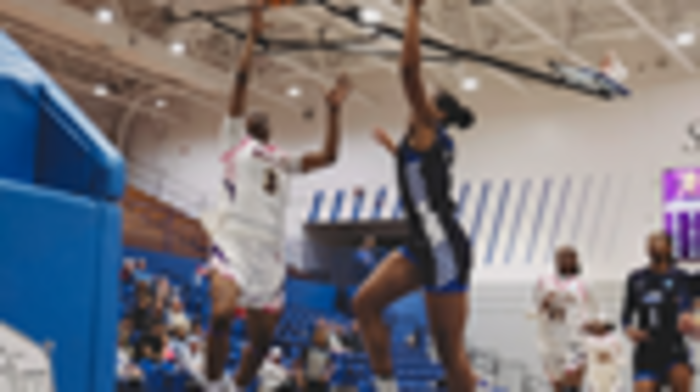 Miles College Lady Bears