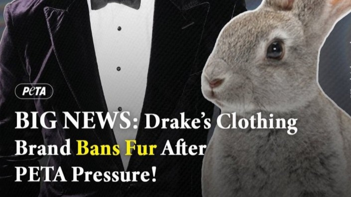 Drake Pleases PETA By Updating OVO