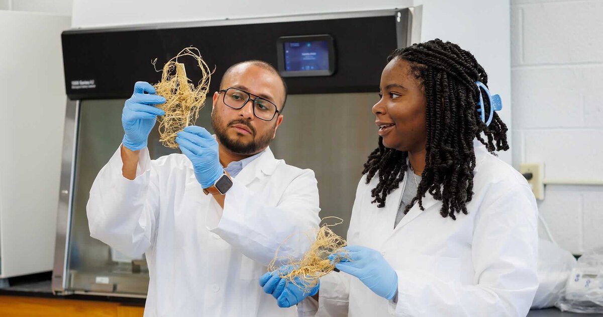 N.C. A&T Student Named National Science Foundation Research Fellow