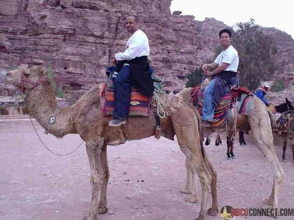 Arabian days