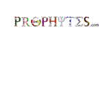 Black Greek Letter Network