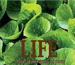 Open Spaces:: The New Civil Rights Movement