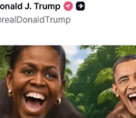 Outrage Over U.S. President Donald Trump Posting Racist Video of the Obamas During Black History Month