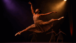 Dance Theatre of Harlem Hosts 4th Annual Divine Nine & HBCU Night