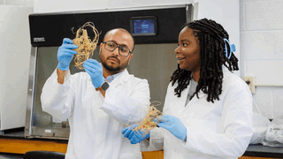 N.C. A&T Student Named National Science Foundation Research Fellow