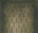 Are You Disappearing?