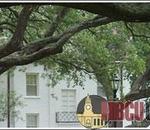 read this dillardites