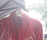 I have a Home Base Business, I design and make rhinestone greek T's, and Greek goods, authentic designer bags 