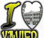 Excitements in the air