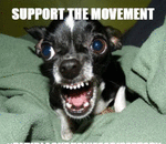 DMV Black Business Directory