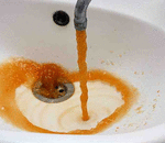 Dying for A Drink: The Flint Water Crisis