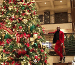 🔋🪫🔋🪫🔋🔋🔋Gifts to recharge my Battery 