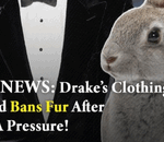 Drake Pleases PETA By Updating OVO's Guidelines On Merch Materials