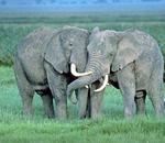 Soulmates: Do they exist?