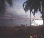 Guess Whoz Bizzack!!!!