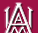 AAMU Dayton Chap Hosts its 25th Annual Fish Fry