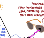 WHAT IS THE DIFFERENCE BETWEEN POLARIZED AND NON-POLARIZED LENSES?