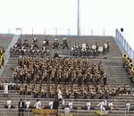 UAPB in tha Stands